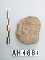 藏品(小砝碼型石網墜)的圖片
